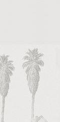 Sketch treatment for Shelly Abbott